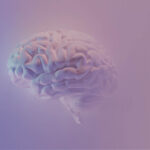 VORTRAG NEURODIVERGENZ